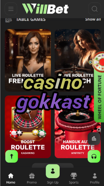 Casino Gokkast - Dutch Slot Machine Games-casinoorder.vip