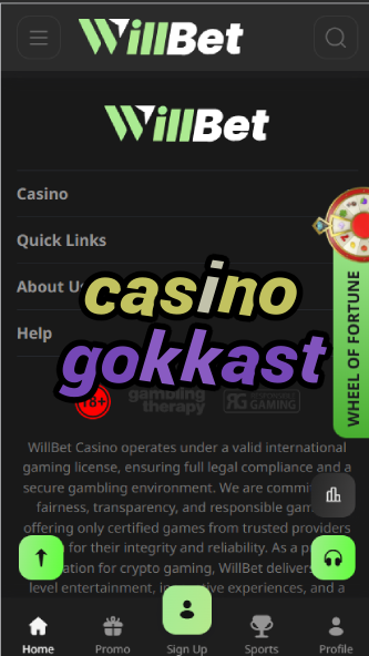 Casino Gokkast - Dutch Slot Machine Games-casinoorder.vip